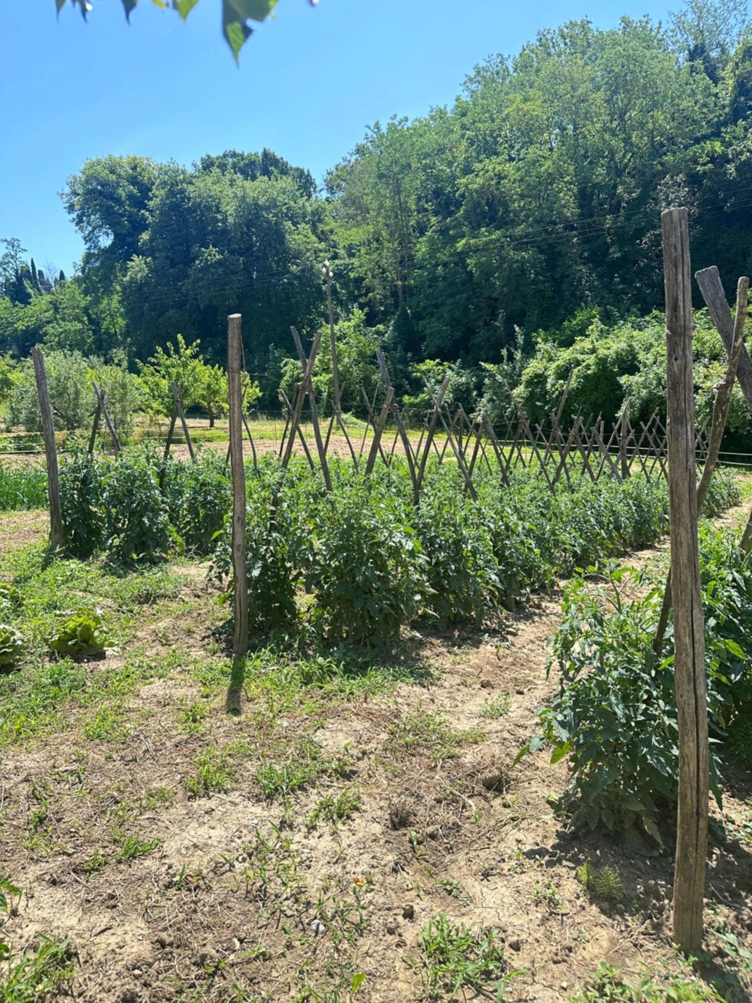 Willa Agriturismo San Biagio Montepulciano Zewnętrze zdjęcie