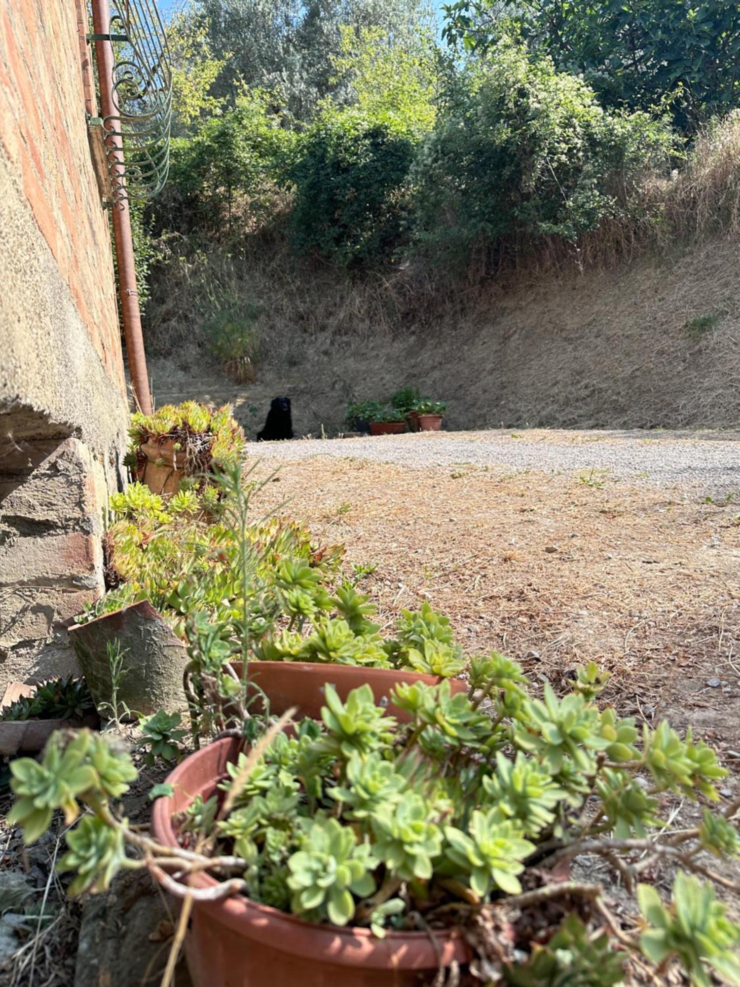 Willa Agriturismo San Biagio Montepulciano Zewnętrze zdjęcie