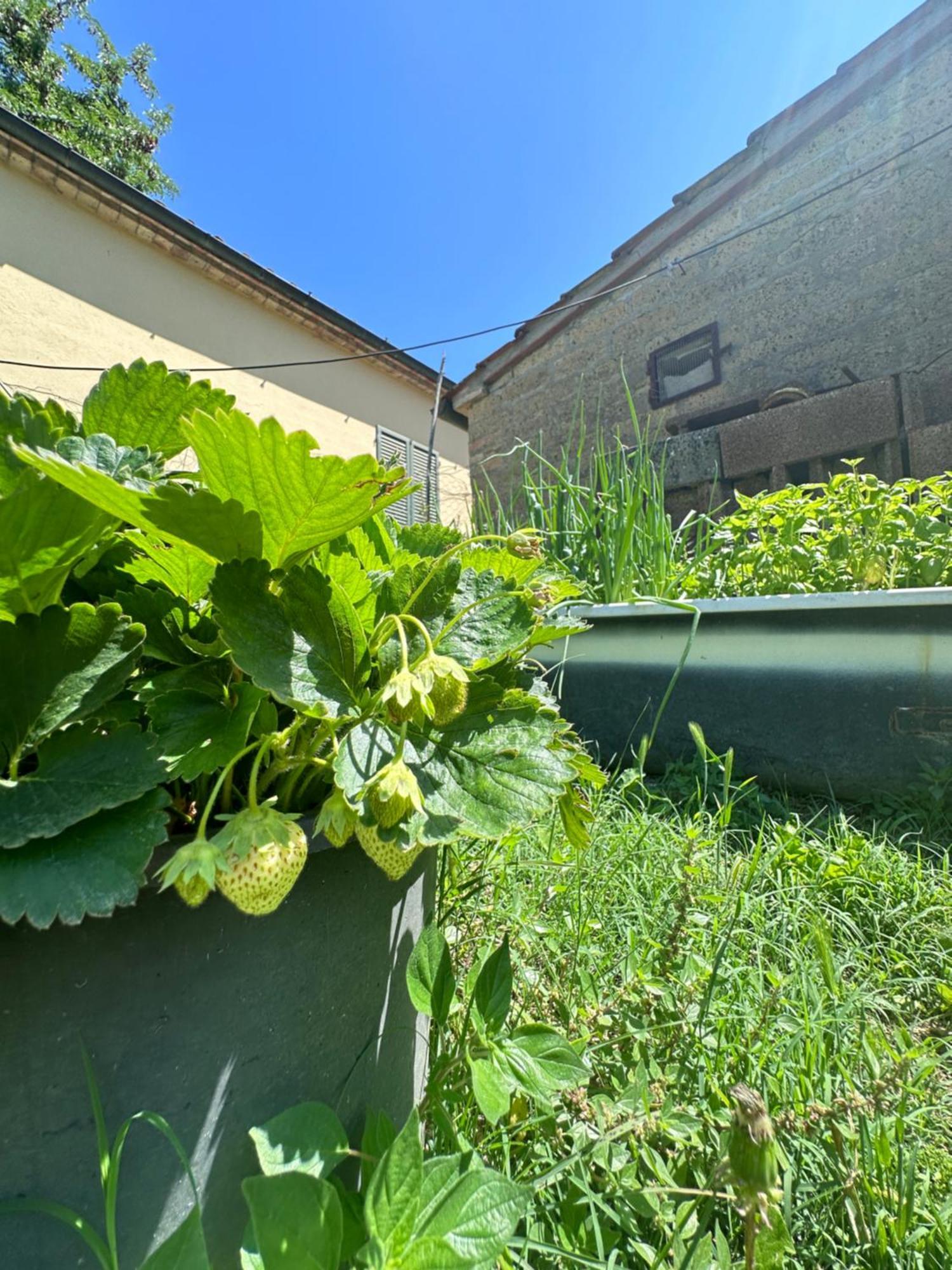 Willa Agriturismo San Biagio Montepulciano Zewnętrze zdjęcie