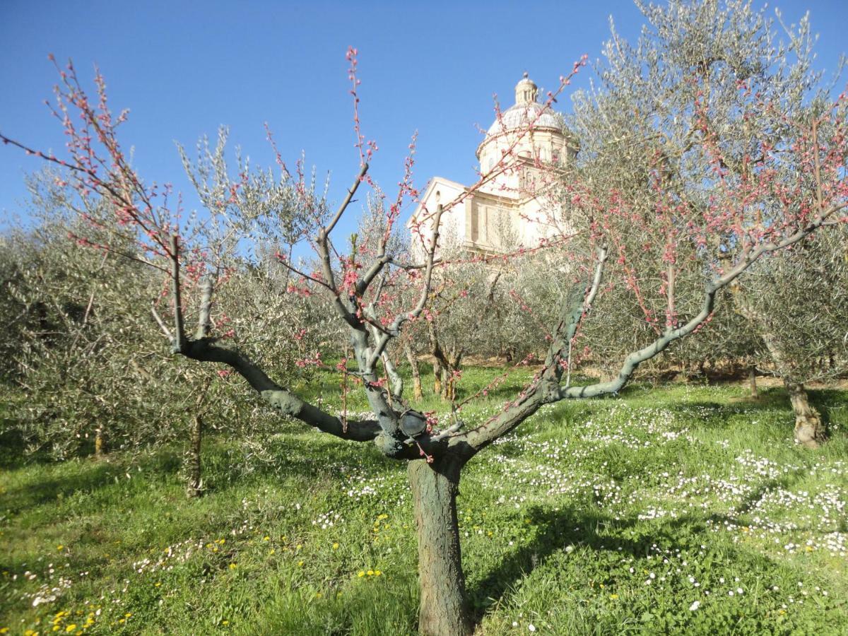Willa Agriturismo San Biagio Montepulciano Zewnętrze zdjęcie